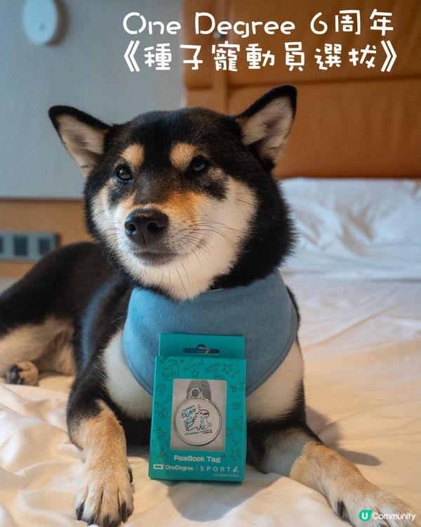 One Degree GPS定位追蹤器
