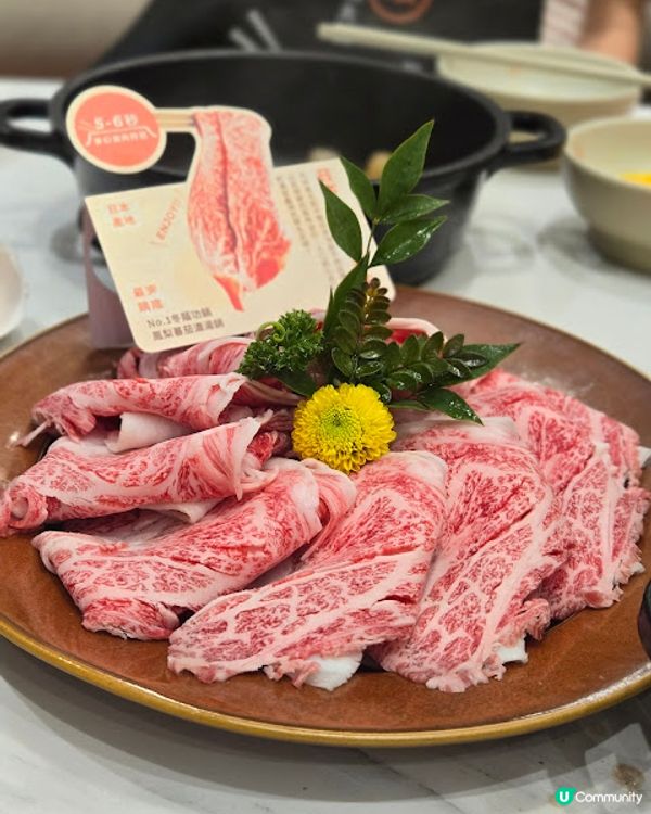 一鼎台式火鍋 - 任食都可以好高質