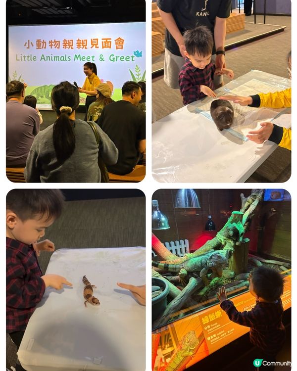 🐣復活節挪亞方舟職感實驗室💖