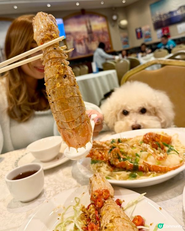 🦞去鯉魚門食海鮮！#寵物友善 