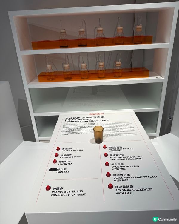 今日茶記一日速體驗！☕️📰