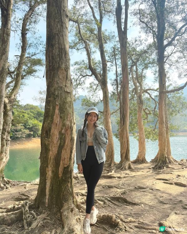 🇭🇰城門水塘白千層🤍🐒好推介俾行山新手 前提係你唔怕馬騮🤣🤣!