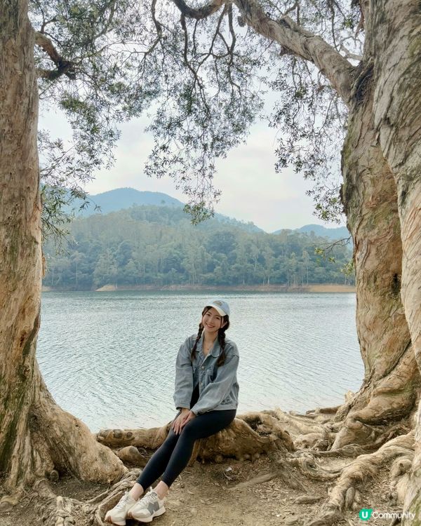 🇭🇰城門水塘白千層🤍🐒好推介俾行山新手 前提係你唔怕馬騮🤣🤣!