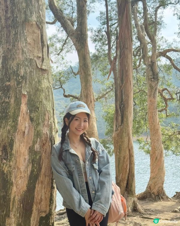 🇭🇰城門水塘白千層🤍🐒好推介俾行山新手 前提係你唔怕馬騮🤣🤣!