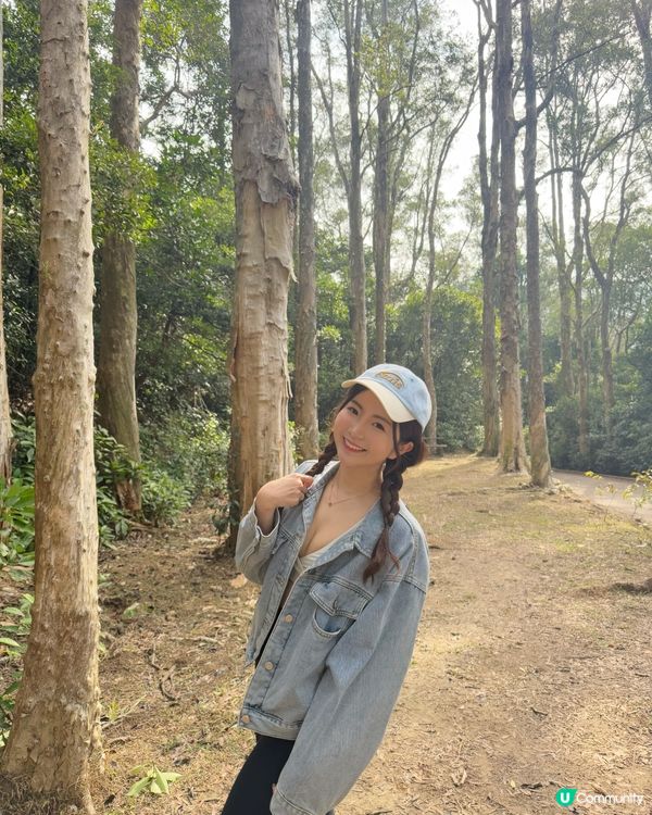 🇭🇰城門水塘白千層🤍🐒好推介俾行山新手 前提係你唔怕馬騮🤣🤣!