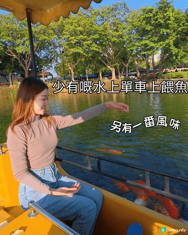花海，打卡，親子