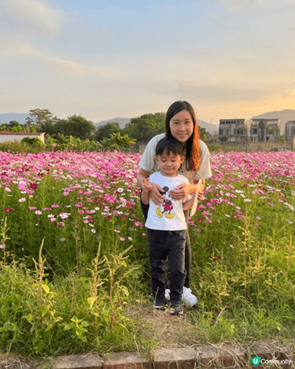 花海，打卡，親子