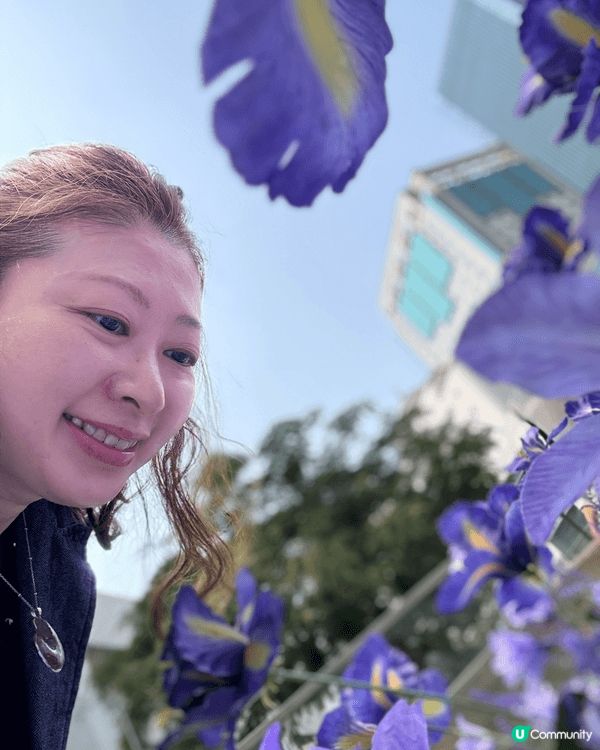 之前介紹了中航城君尚的打卡點，最近過去又悄悄地變了妝，紫色t...