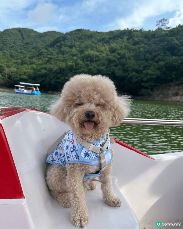 📍 黃泥涌水塘公園🐥