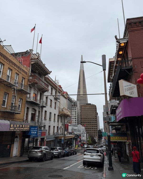 上次旅行到美國的三藩市，去了哈弗大學，China town。...