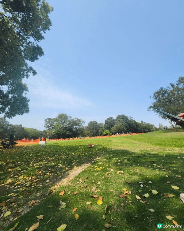 粉嶺哥爾夫球球場嘅寵物公園一定係每個愛狗之人必定要到嘅地方，...