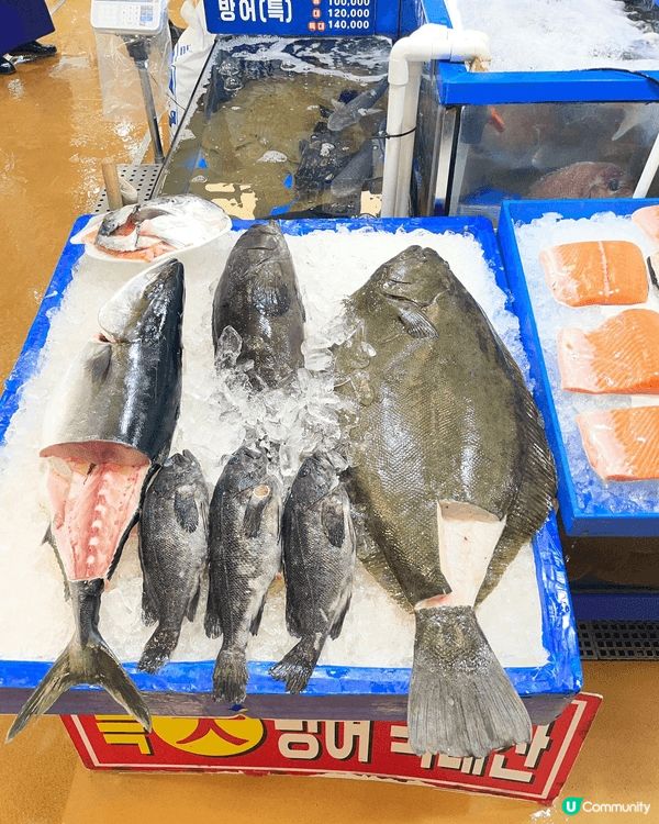 首爾海鮮市場。好多香港少見嘅海鮮。例如安康魚，好大條。但刺身...