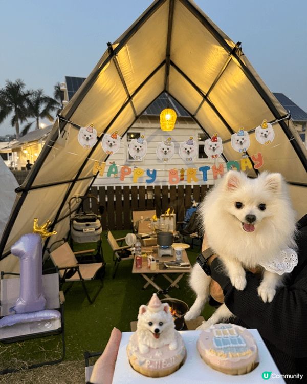 因場地均是寵物友善，設備齊全，環境乾淨，令我地有良好體驗，安...