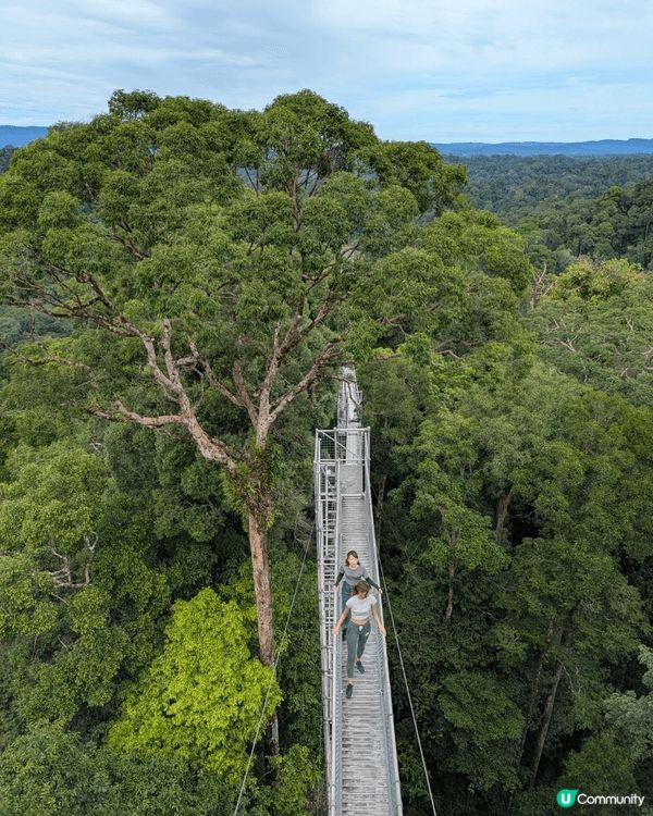 去汶萊旅行，一定要去Ulu Temburong Nation...