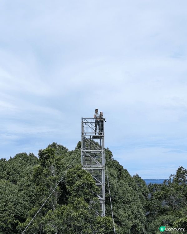 去汶萊旅行，一定要去Ulu Temburong Nation...