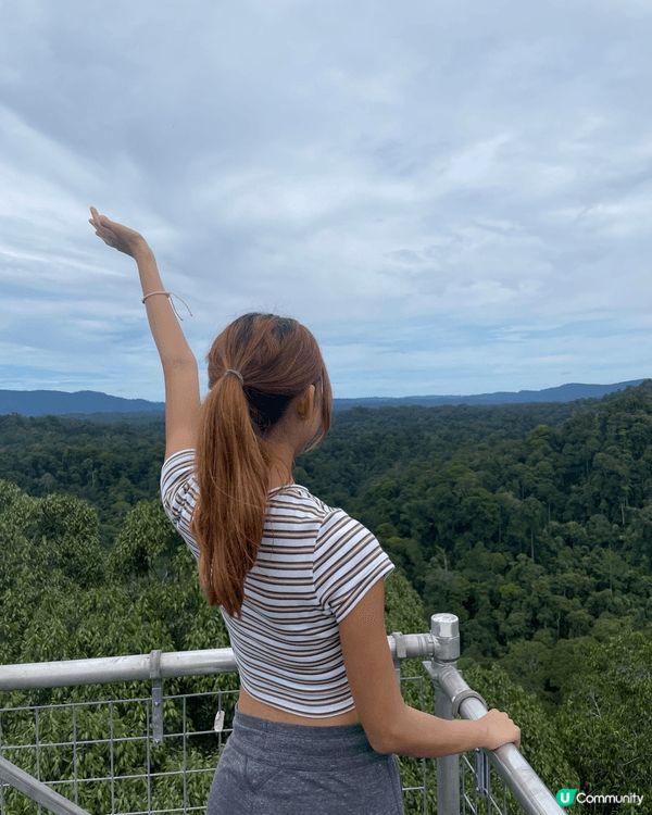 去汶萊旅行，一定要去Ulu Temburong Nation...