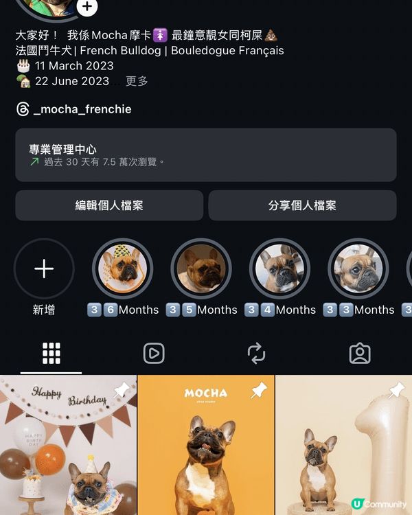 Instagram Account: _mocha_fren...