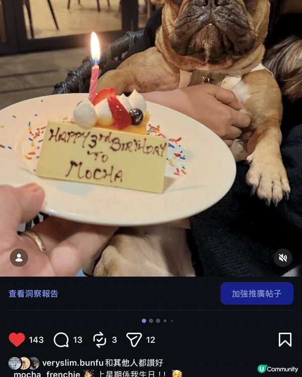Instagram Account: _mocha_fren...