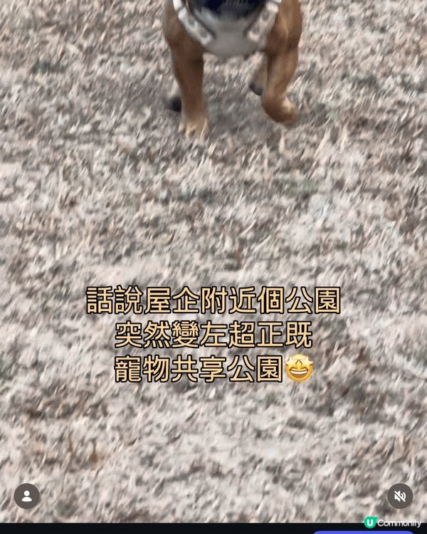 Instagram Account: _mocha_fren...