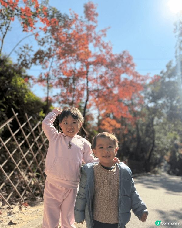珠海親子酒店，元朗大棠紅葉，西九AIA嘉年華，西九海旁