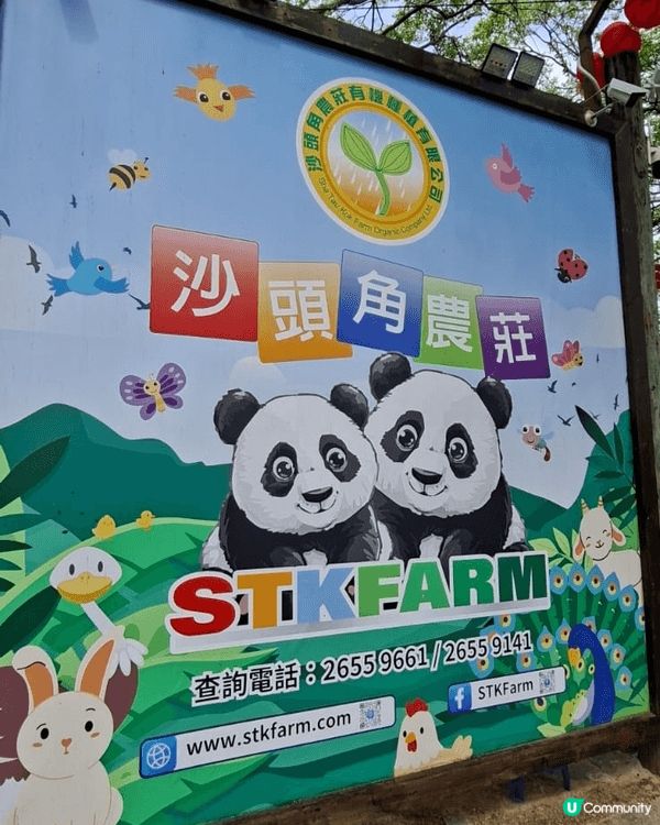 我地一家人和朋友們去了 沙頭角農莊，個度既設施好靚，好大，都...