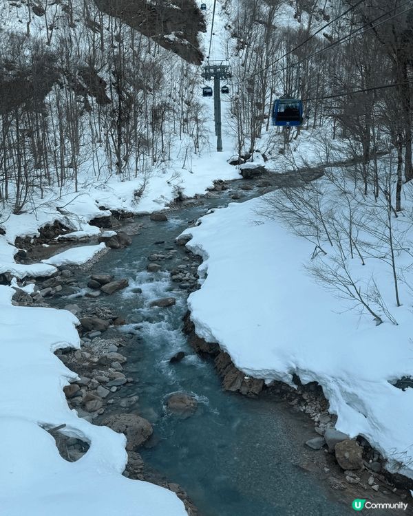 圖一是我2隻狗去錦田柴駅玩樂的相片，柴駅有大草地，並且私隱度...