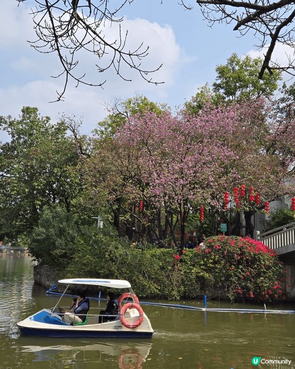 東山湖公園位於廣州東山口站，交通便利，是本地人賞花的私藏景點...