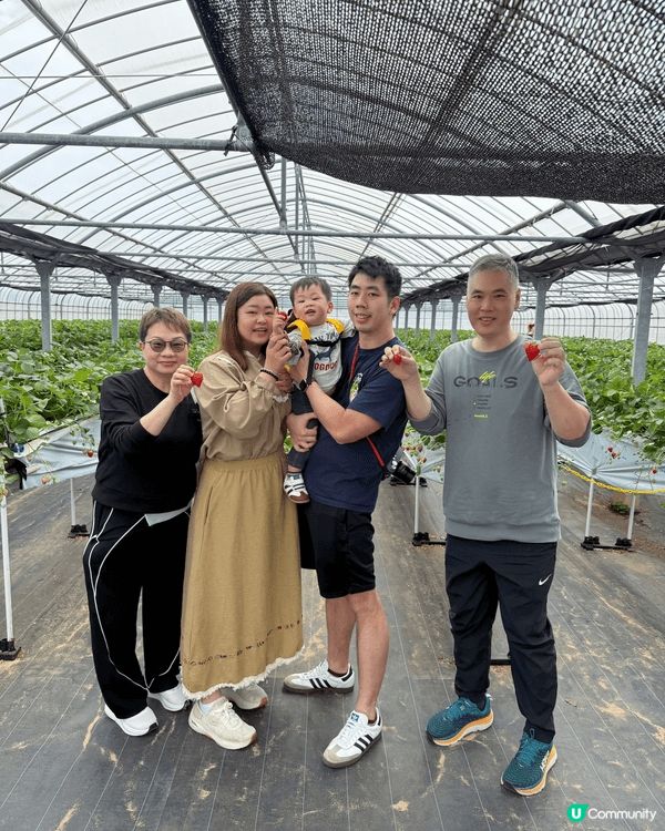 沖繩機程短、安全乾淨，適合媽媽帶小朋友同長輩：海灘、水族館、...