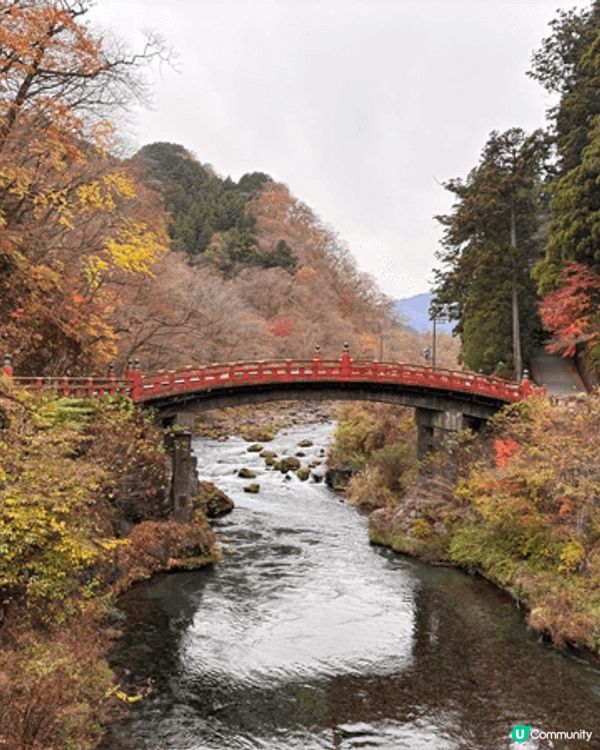 Go with the kids to Japan,  re...