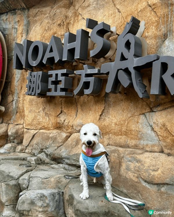 位於馬灣寵物友善的挪亞方舟酒店，環境優美，酒店員工對寵物極友...