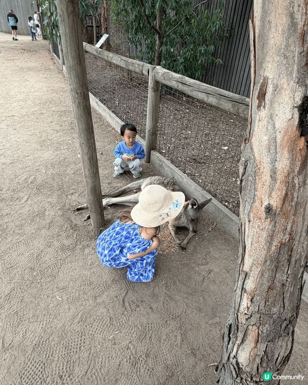 澳洲親子旅行既自然活動留倩影