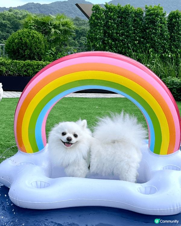 拍攝地方係西沙go park 