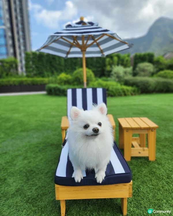 拍攝地方係西沙go park 