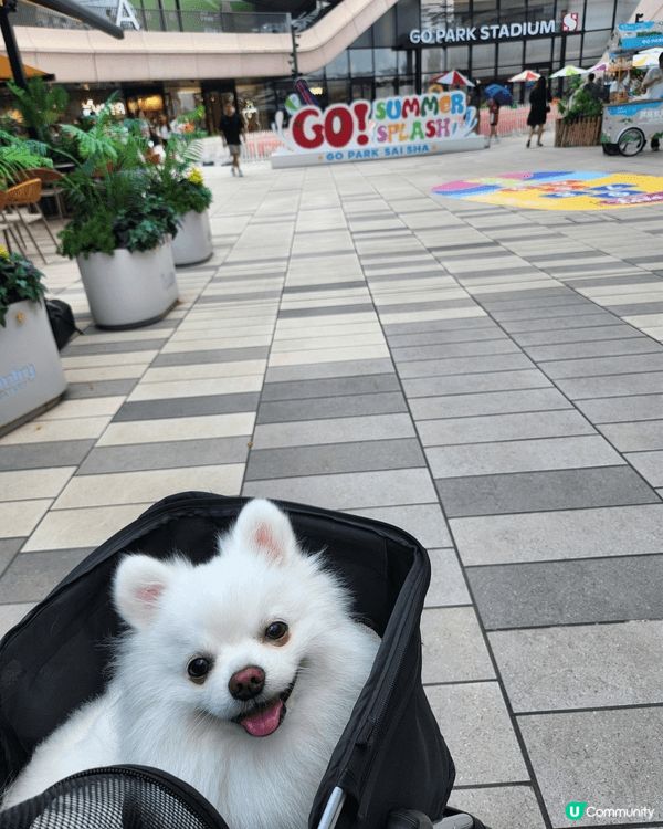 拍攝地方係西沙go park 