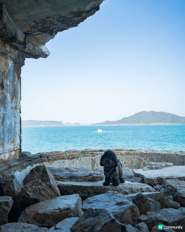 尋找歌連臣角炮台遺址💣1小時到達，「大電視」打卡位+無敵海景...