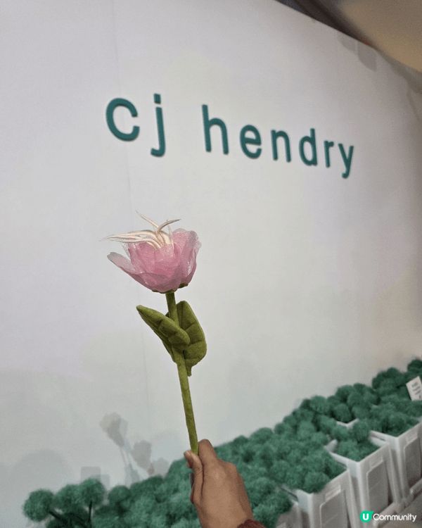 Henderson Land x cj hendry “fl...