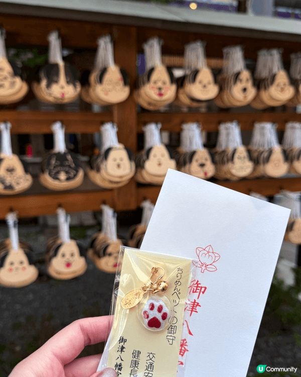 位於大阪市內的御津八幡宮，是保佑毛孩健康平安的神社，位置方便...