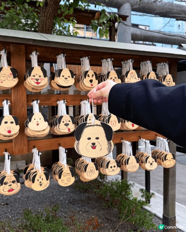 位於大阪市內的御津八幡宮，是保佑毛孩健康平安的神社，位置方便...