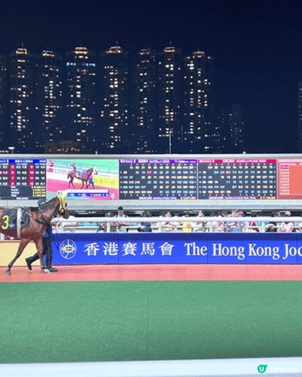 探索香港中，比如探索跑馬地賽馬，香港中央圖書館，藝術展覽等。...