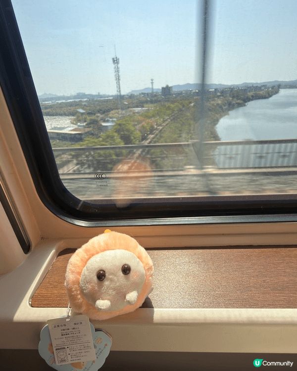 呢個係福州（三坊七巷），最有名嘅愛心樹～喺一棵歷史悠久嘅榕樹...