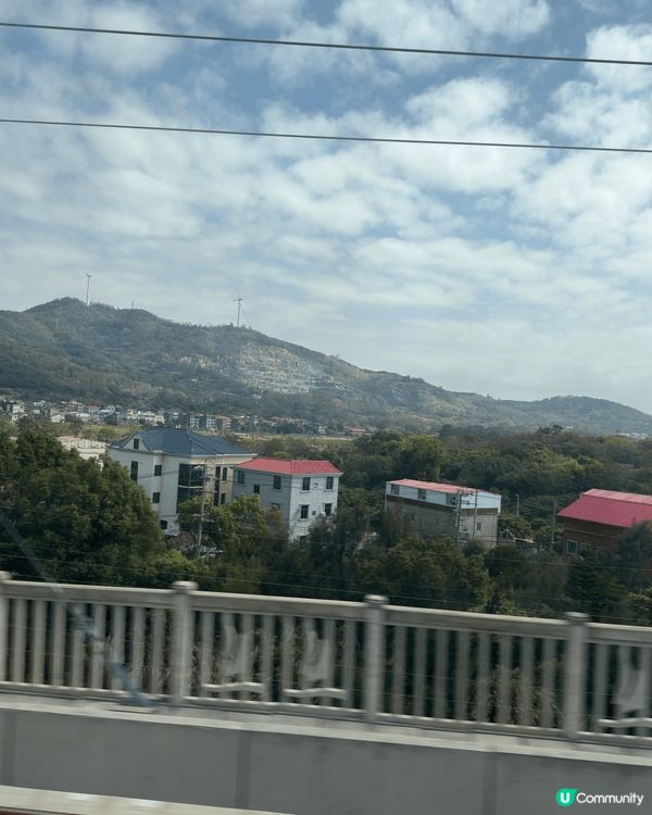 呢個係福州（三坊七巷），最有名嘅愛心樹～喺一棵歷史悠久嘅榕樹...