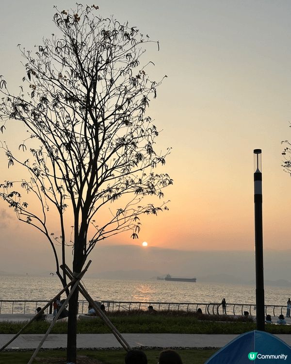 數碼海濱公園環境十分好，可以休閑紮營野餐同朋友談笑風生，又可...