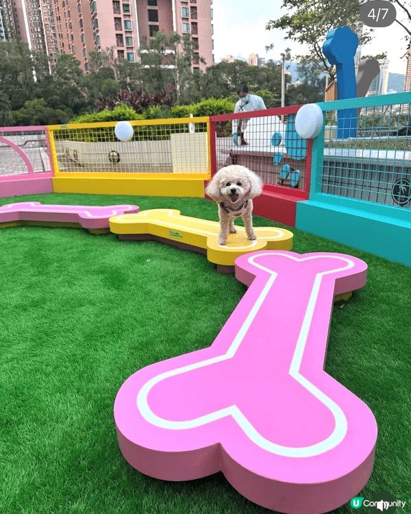 More dogcation/ others posts w...