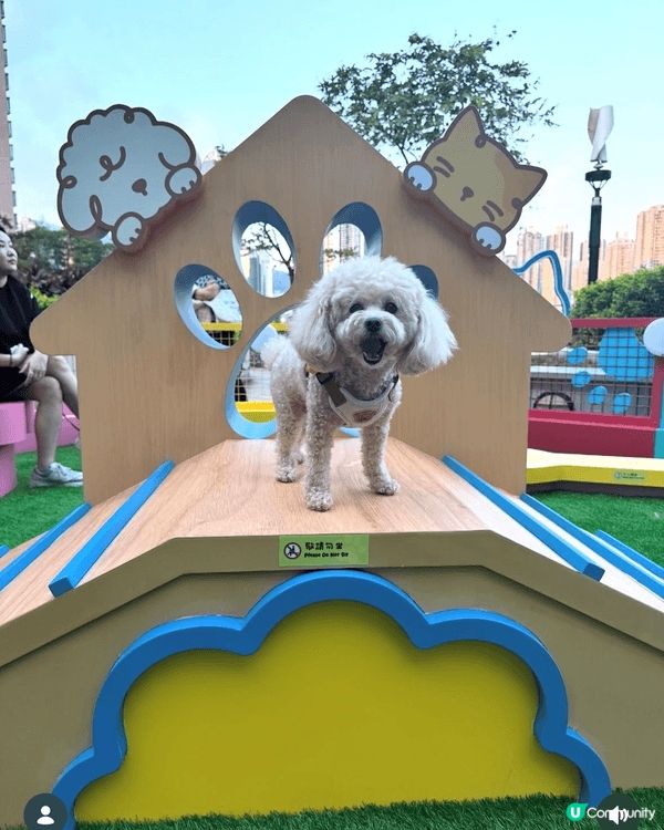 More dogcation/ others posts w...