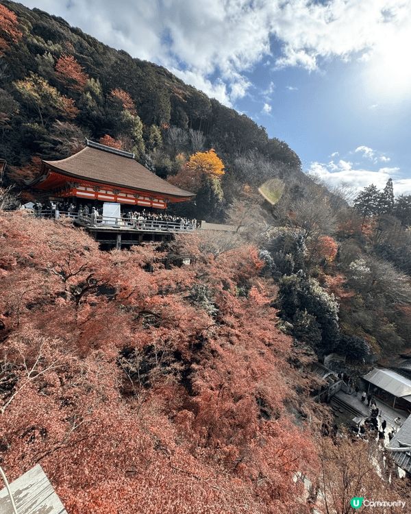 去年冬天去了京都，紅葉同銀杏樹滿開嘅情況真係令人好難忘，去京...