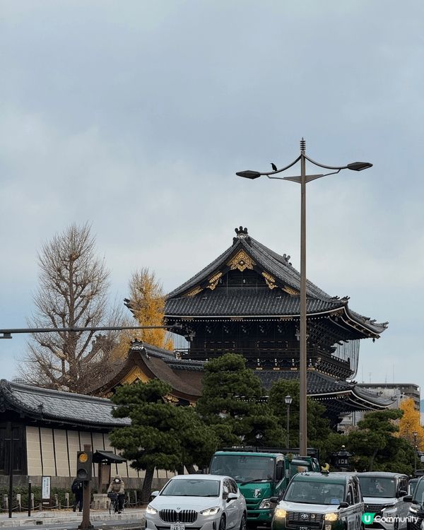 去年冬天去了京都，紅葉同銀杏樹滿開嘅情況真係令人好難忘，去京...