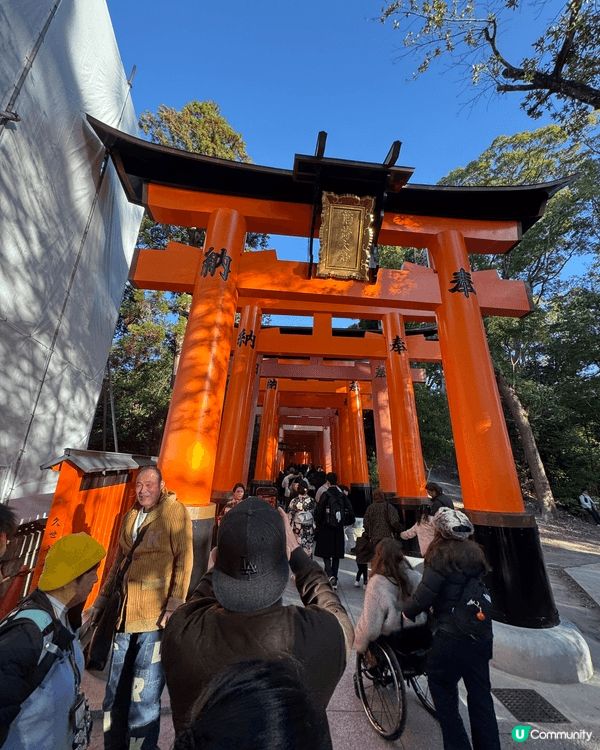 去年冬天去了京都，紅葉同銀杏樹滿開嘅情況真係令人好難忘，去京...