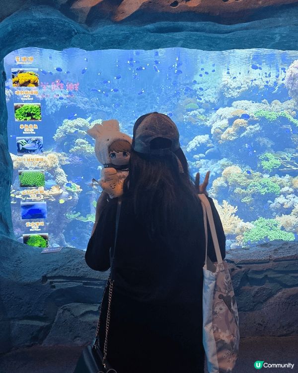 去過長隆飛船酒店，要打卡有靚佈置、要玩有機動遊戲/無邊際泳池...