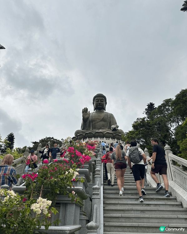 坐住纜車欣賞東涌嘅自然境觀，呼吸着清新空氣，再一口氣爬上數百...