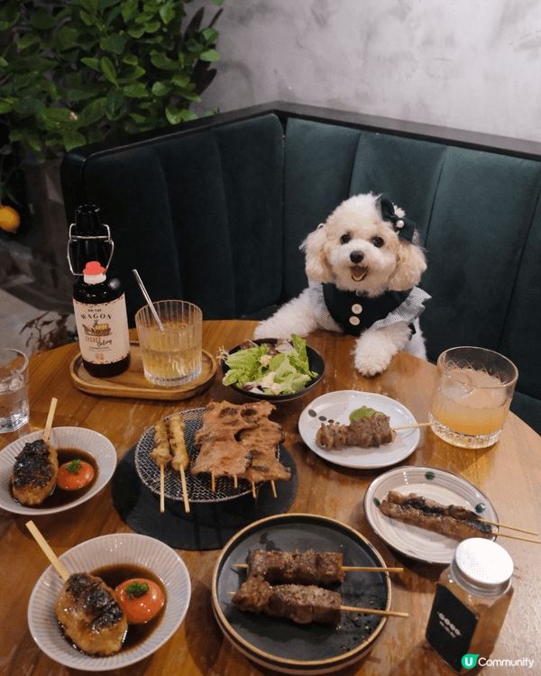 寵物友善餐廳/cafe 打卡 post + reel